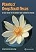 Plants of Deep South Texas: A Field Guide to the Woody and Flowering Species (Perspectives on South Texas, sponsored by Texas A&M University-Kingsville)