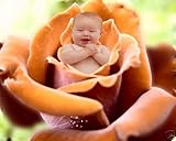 Digital Photography Backgrounds Backdrops Children Photo Props