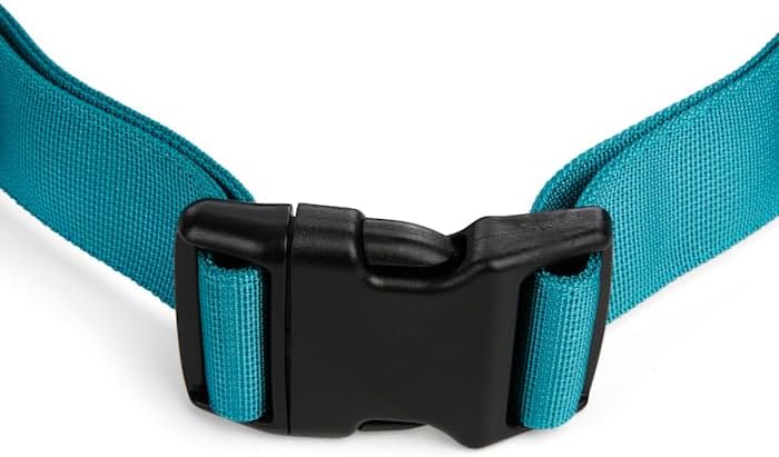 EveryYay by Petco Settin' the Pace Running Belt & Leash Set for Dogs Teal 34-in Long 1.5-in Wide