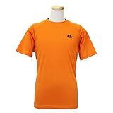 (ロウアルパイン)Lowe alpine Alpine Logo Point Tee M LSM11027 ORANGE オレンジ M