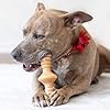 Benebone Zaggler Rolling Dog Chew Toy