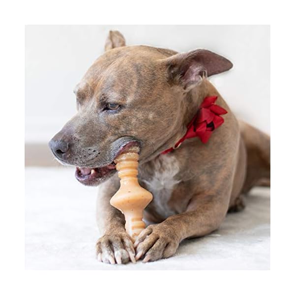Benebone Zaggler Rolling Dog Chew Toy