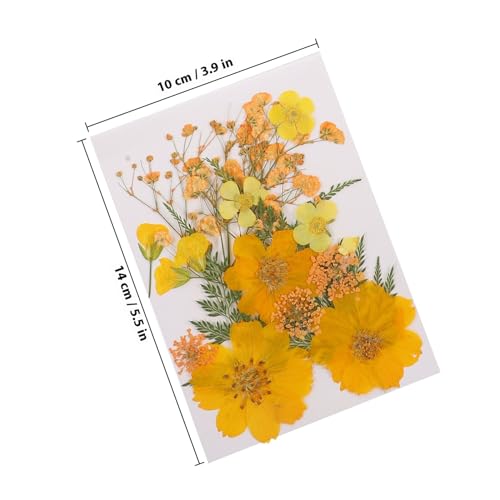 TIKODIDA ドライフラワー 押し花 4袋入り アソートカラー 乾燥した野花 素材 レジン ジュエリー ネイルアート用 クラフトアクセサリー作り DIY 手工芸品用品 [2]