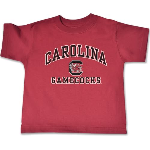 NCAA South Carolina Fighting Gamecocks Toddler Short Sleeve Tee, 4 Toddler, Cardinal