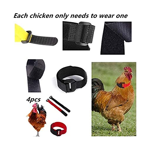 Huhn Kragen Hahnhalsband 4 Stück Hühnern Hahnkragen Anti Haken Einstellbare Verhindert DASS Hühner schreien stören Nachbarn Hühnerhalsbänder