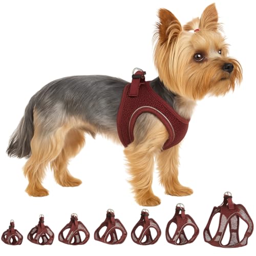 Flamingo Step-Go Bento Pettorina – Melanzana, XS (A:28-30 cm, B:30-32 cm, 3 mm), Comoda e Regolabile, Ideale per Volpino di Pomerania, Maltese, Havanese, Barboncino Toy ecc.