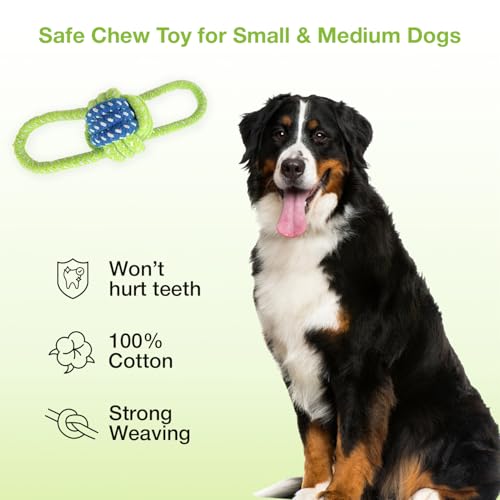 Image of Cotton Rope for Dogs and Pets |Knotted Woven Pet Dog Toy Eco-Friendly Cotton Toys Medium /Small Toy |Chewing and Playing Teeth Cleaning and Training for Dogs and Puppies (Green)