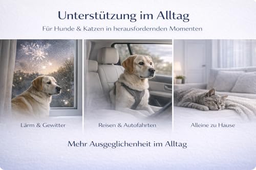 Hanföl für Hunde & Katzen 𝟏𝟎𝟎𝟎𝐦𝐠 – natürliches Beruhigungsmittel aus Hanfsamen – unterstützt Entspannung, Fellpflege & Wohlbefinden