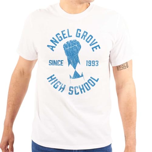 Brisco Brands Angel Grove High School Since 1993 Graphic T Shirt Men or Women