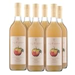 Van Nahmen – van Nahmen Elstar Apfelsaft (BIO) - 100% Direktsaft, vegan, 