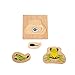 Adena Montessori Life Cycle of Frog