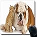 Produktbild GTGTH Mousepad Lumberjack Plaid Flannel Abstract Old Beauty Buffalo Casual Check CheckeClassic Non-Slip Rubber Mouse Pad Computer Game Mat 25X30CM