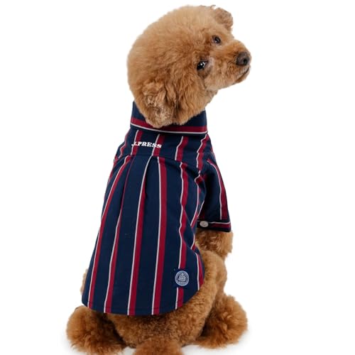 ybgp_CX   ~ J.PREyQl SS gCv[h ps (`5kg) ybgp_CXcX72XܓWJ2025/10/1_z W^ XgCv Vc uh ^ yQl SS gCv[h ps (`5kg