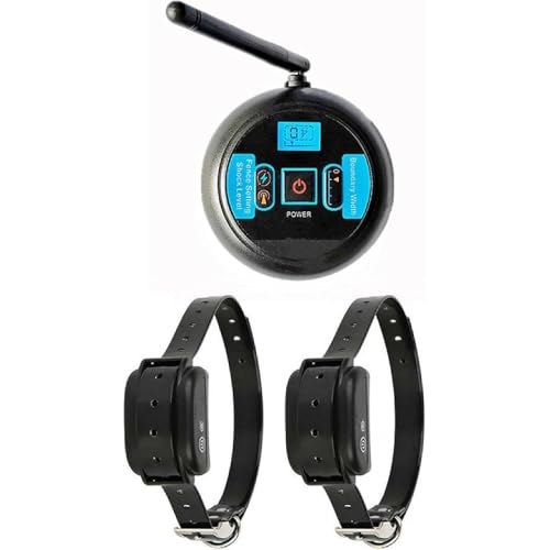 Collier Anti-Choc Pour Chiens : Test Complet et Avis Fiable