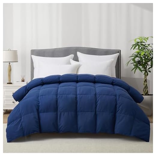 ALPSWAN Luxury Goose Feather Down Fiber Comforter Queen Size, 300TC Blue Cotton Blended Duvet Insert, All Season Hotel Bedding Alternative Down Comforter with Corner Tabs (Blue, Queen)