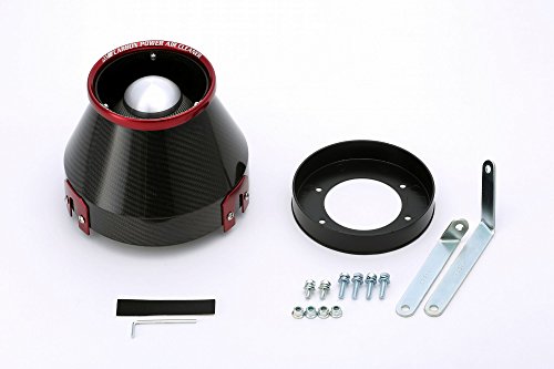 BLITZ(ブリッツ) CARBON POWER AIR CLEANER(カーボンパワーエアクリーナー) ステージア WGNC34 M/C前 35021