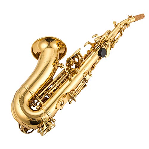 Singer's Day Sdsc-2013 Gold Lacquer Soprano Curved Saxophone #TOP3