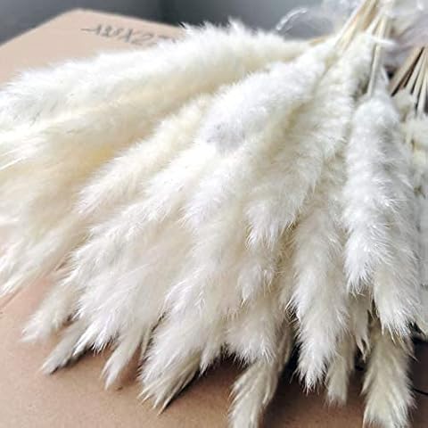 30Small for 2 bundles Dried Pampas Grass Plumes Decoration,45cm Tall Natural Dried Flowers,Faux Reed Flower Stems Bunch Natural Dried Lagurus Ovatus,for Flower Arrangements Wedding Home Decor (White) Cover