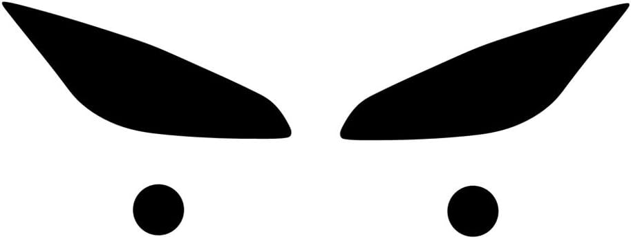 Rvinyl Headlight Tint Covers Compatible with Toyota Solara 2004-2008 - Smoke