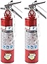 2 Pack Buckeye 13315 ABC Multipurpose Dry Chemical Hand Held Fire Extinguisher with Aluminum Valve and Vehicle Bracket, 2.5 lbs Agent Capacity