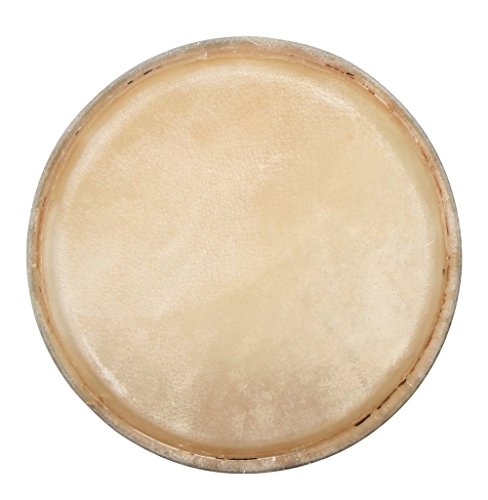 Peau de conga 12,5" Club Salsa F847253 instrument percussion musique