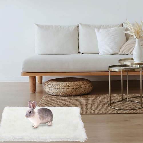 Couverture peluche douce animaux tapis de couchage confortable doublé
