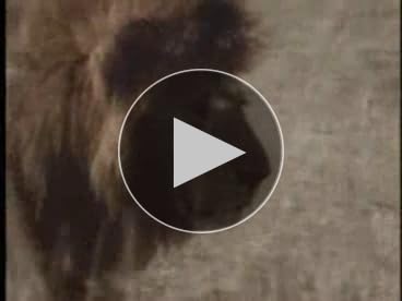 Amazon.com: Mythos II: The Shaping of Our Mythic Tradition