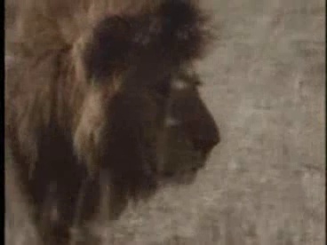 その他 Joseph Campbell: Mythos [DVD] Amazon.com: JOSEPH CAMPBELL: MYTHOS THE COMPLETE SERIES DVD