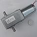 GW600 DC Worm Gear Motor, 24V 12V 5-480RPM, High Torque - (Speed(RPM): 12V 10RPM/ Voltage(V): Axis)