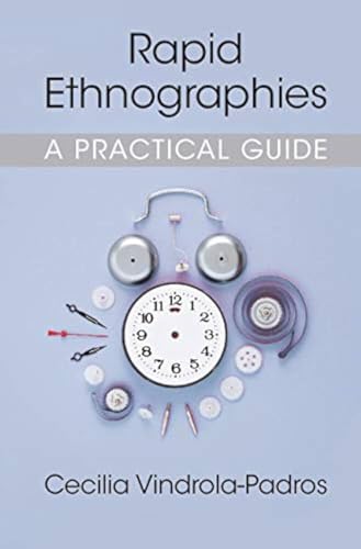 Rapid Ethnographies view 2