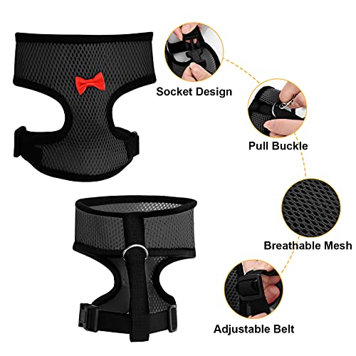 Molain Verstellbares Hühnergeschirr mit Leine, Bequeme Hühnerweste atmungsaktives Hühner Trainingsgeschirr Mesh Haustiergeschirr für 2–11 lb (1–5 kg) Ente Gans Henne Traning Medium (schwarz)