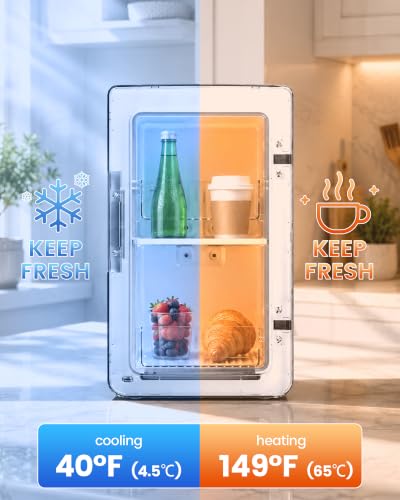 Image of Electactic Mini Fridge, 6L /8Can Portable Small Refrigerator for Bedroom