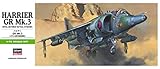 Hasegawa