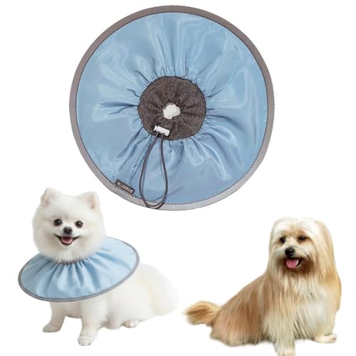 LifetipsTAv\ TAv\Lp GUxXJ[ h \tg y pPA ی Ȃߖh~ p EȒP 􂦂 PAJ[(xr[u[j(Lj