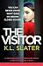 The Visitor: A psychological thriller with a breathtaking twist