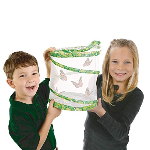 Schmetterlingsgarten inkl. 8-10 Raupen und Zubehör - Zuchtset für Kinder und Erwachsene - Zuhause heimische Distelfalter züchten – Bild 3