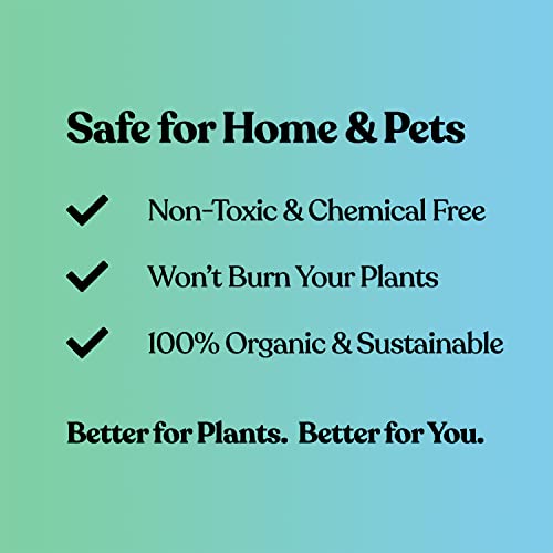 Home Jungle - Complete Organic House Plant Fertilizer Nutrient System - Soil Myco Boost, Foliar Feeding, And Full Spectrum Plant Food In One Kit #TOP3