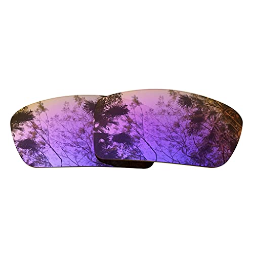 Image of Polarized Replacement Lenses for Oakley Gascan Sunglasses-Multi Options,with Lens Cloth