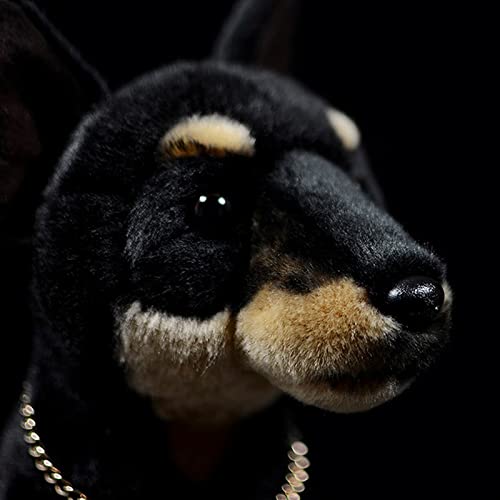 lilizzhoumax Spielzeug aus Dobermann Pinscher Hund Plüsch 20 cm/8 Zoll, Simulation Hundespielzeug Realistische Puppe, Plüschtier Hund Spielzeug Wildtiere als Geschenk für Kinder