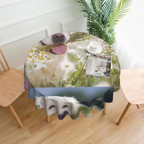 Nappe en polyester lavable anti-tache motif Golden Retriever
