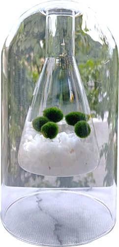 ܂ T OptXR^(QdKX)~jt Zbg