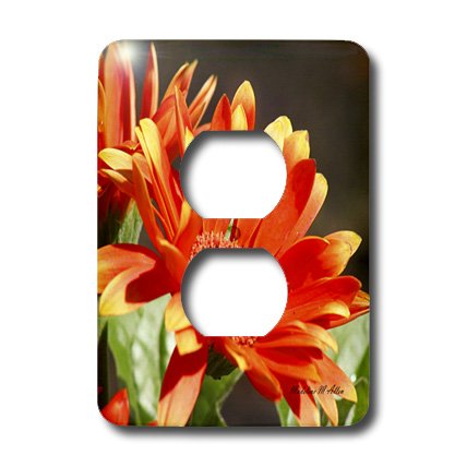 Cache-prise en velours Orange doux texture mate plaque décorative 3dRose LSP_7165_6