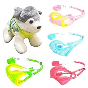 Pet Guard Kitten-Cat Puppy – Cat Nylon Harness With Lease Adjustable Small – Export Quality- Please Check Size Before Buying, Multicolor, Pack Of 1