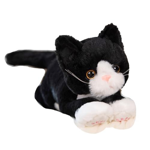 Hyack L ʂ ˂   ӂӂ A 킢 Mtg L lR () [sAi]