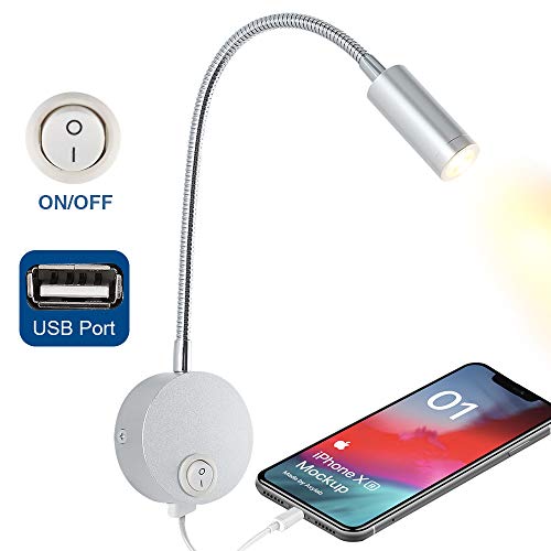 WisHomee DC 12V Reading Light with USB Charging Port, RV Interior Lights, Flexible LED Light Fixtures, Designed for Car, Van, Boat and Motorhome (Silver)