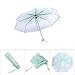 plplaaoo Folding Umbrella, Rain Umbrella, Transparent Folding Umbrella,Fashionable Princess Umbrella Cherry Blossom Four Colors for Girls Boys Students Women (green)