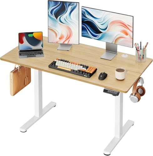DEVAISE 48 Inch Electric Standing Desk, 3 Adjustable...
