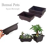 HZL Macetas de Bonsai, macetas de guardería, Flores de Estilo nórdico Macetas de Bonsai con Bandeja Balcón de plástico Plantas cuadradas/rectangulares Tazón Macetas de guardería