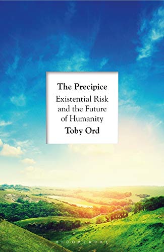The Precipice: ‘A book that seems made for the present moment’ New Yorker livre En ligne