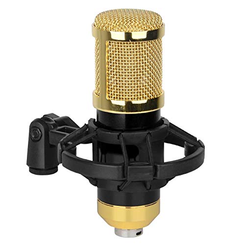 Microphone studio voix off condensateur capsule plaquée or enregistrement noir